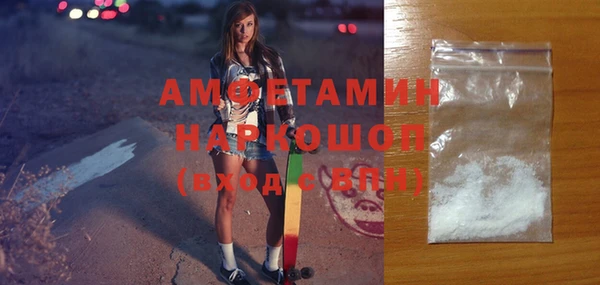 сатива Новозыбков