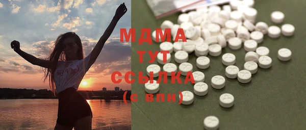 сатива Новозыбков
