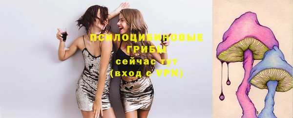 спиды Новокубанск