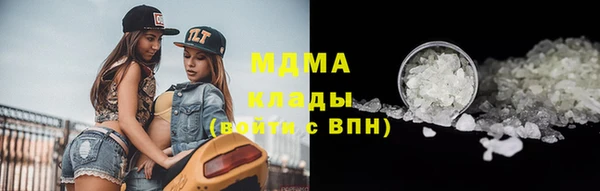 сатива Новозыбков