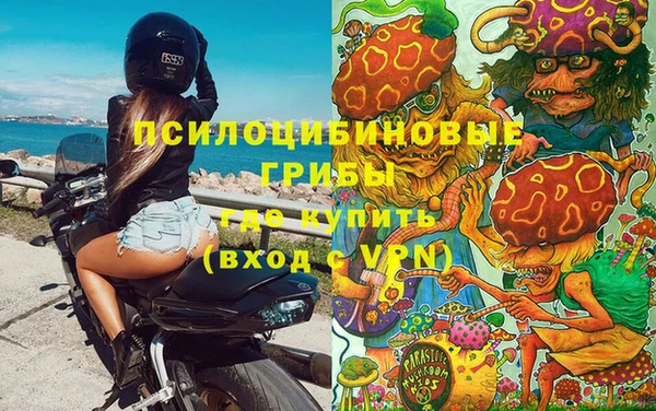 твердый Нефтегорск