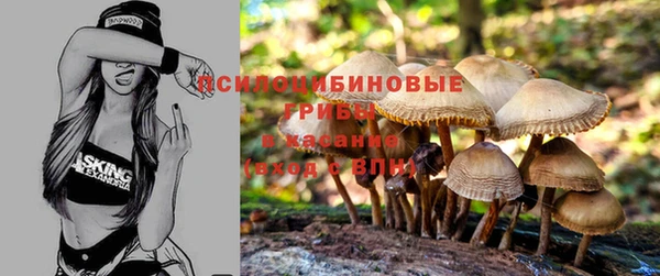 твердый Нефтегорск
