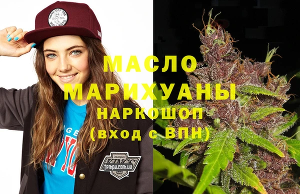 сатива Новозыбков