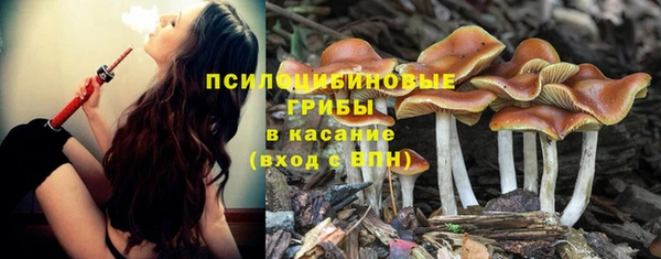 твердый Нефтегорск