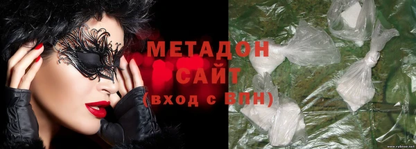 сатива Новозыбков