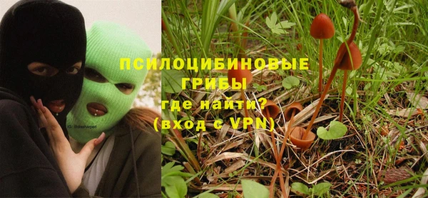 спиды Нея