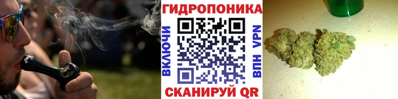 Каннабис сатива  магазин    Усолье 
